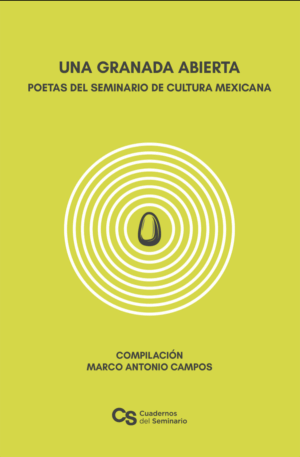 Una granada abierta